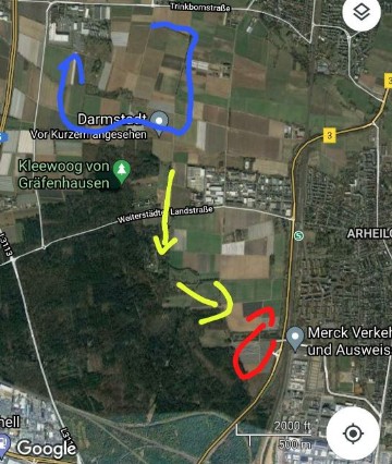 Laufmuster.. am Ende ist Benji über Straße und Schine Heim gelaufen